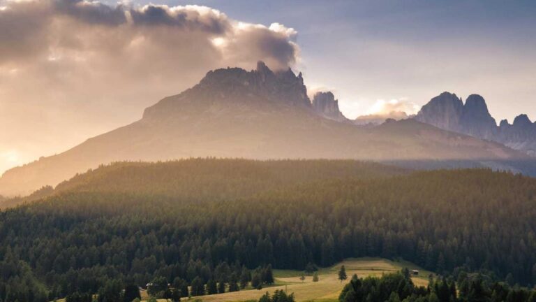 Who Is The Owner Of Cricbet99?